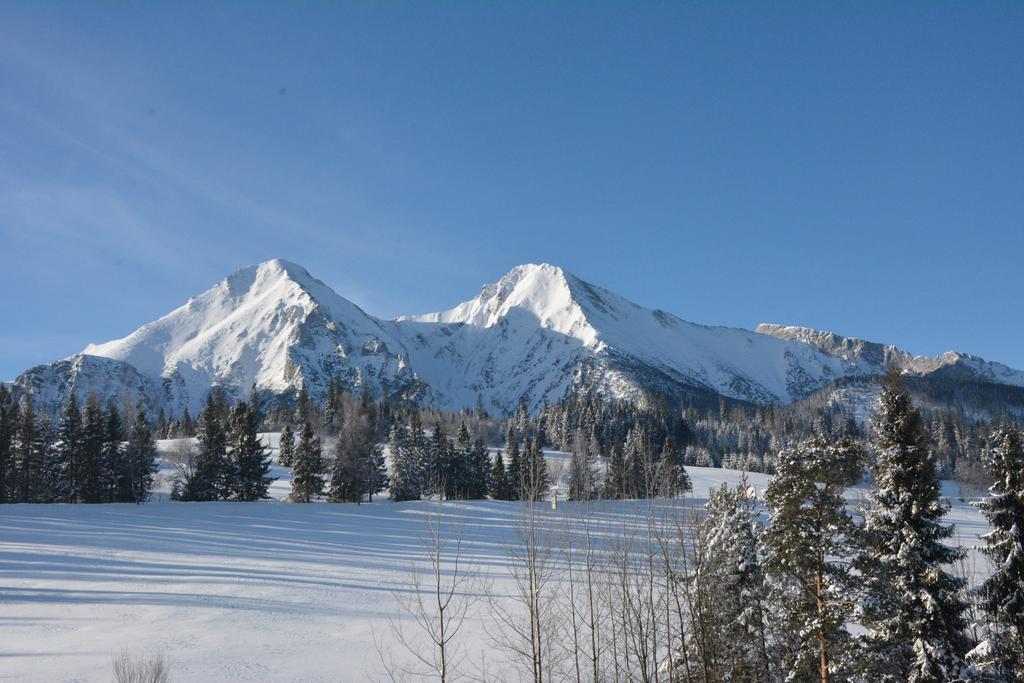 Penzion Viktoria Ждяр Экстерьер фото